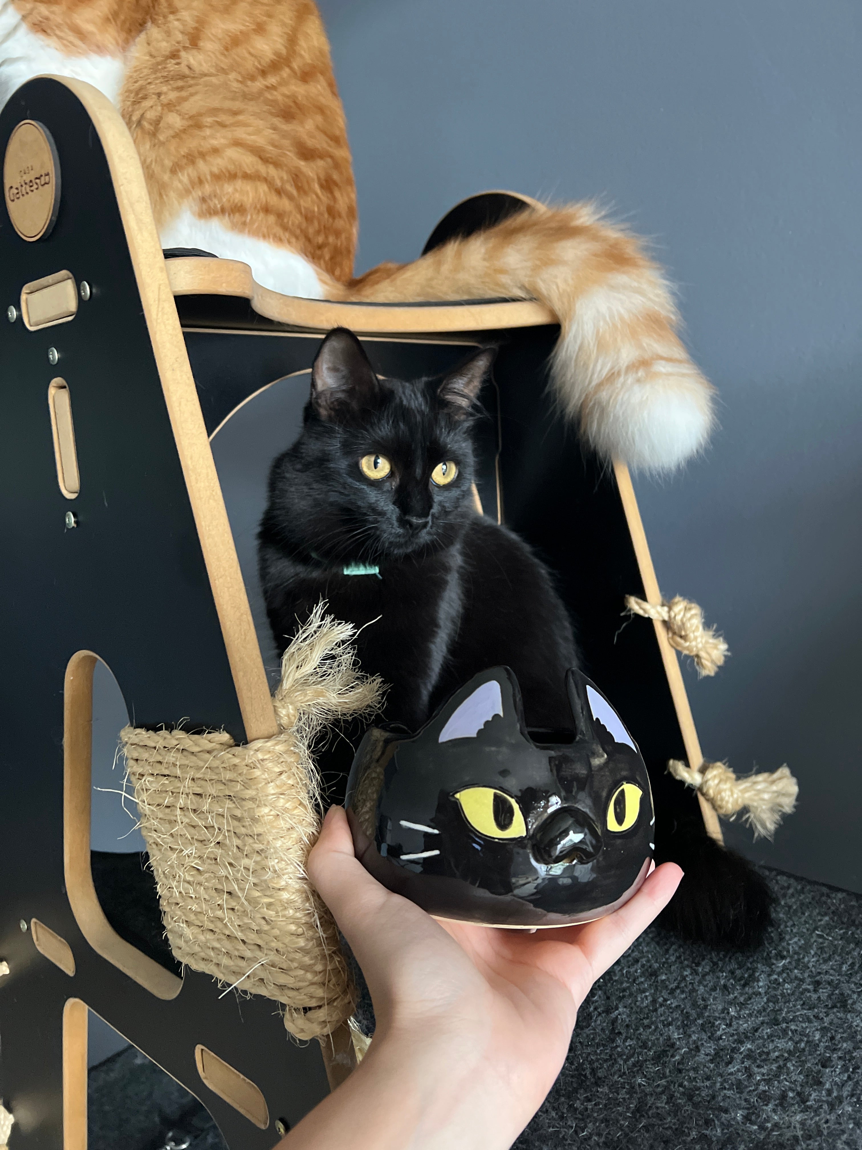 Custom popular Order-Black Cat Yarn Bowl